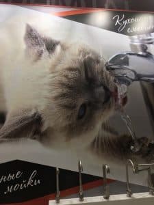 Выставка в Москве